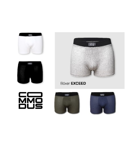 Boxer EXCEED Foto 2