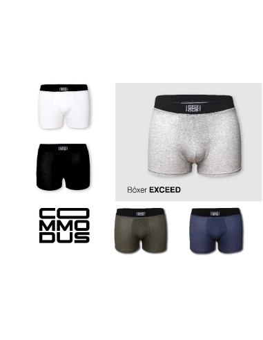 Boxer EXCEED Foto