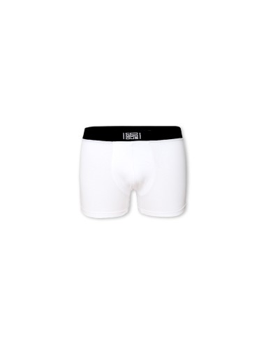Boxer EXCEED Foto