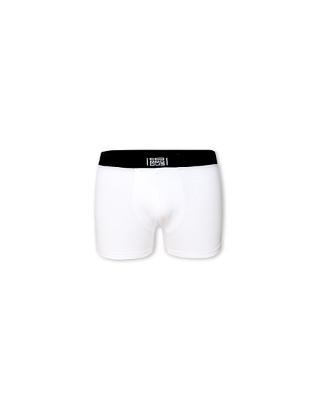 Boxer EXCEED Foto