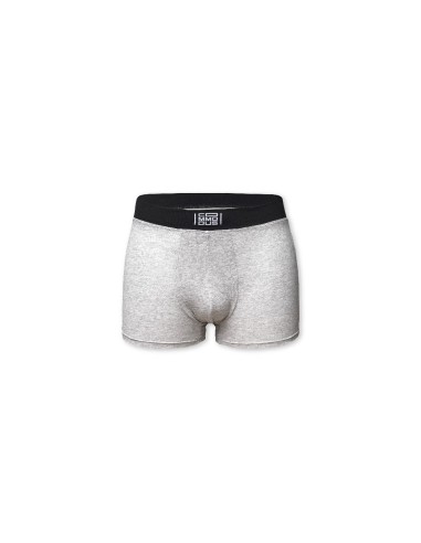 Boxer EXCEED Foto