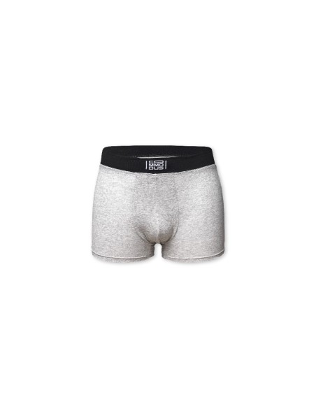 Boxer EXCEED Foto